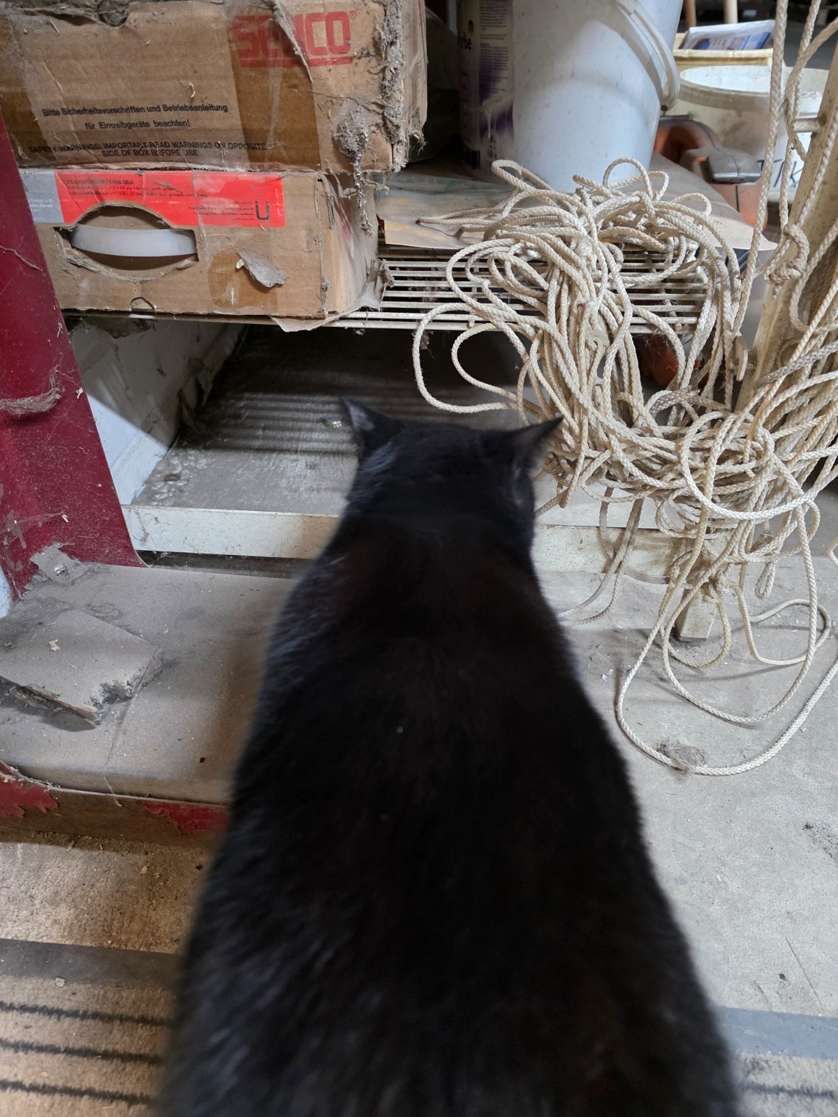 f8cd9cc9-7524-4283-bc2a-e3cbab7e5f0f