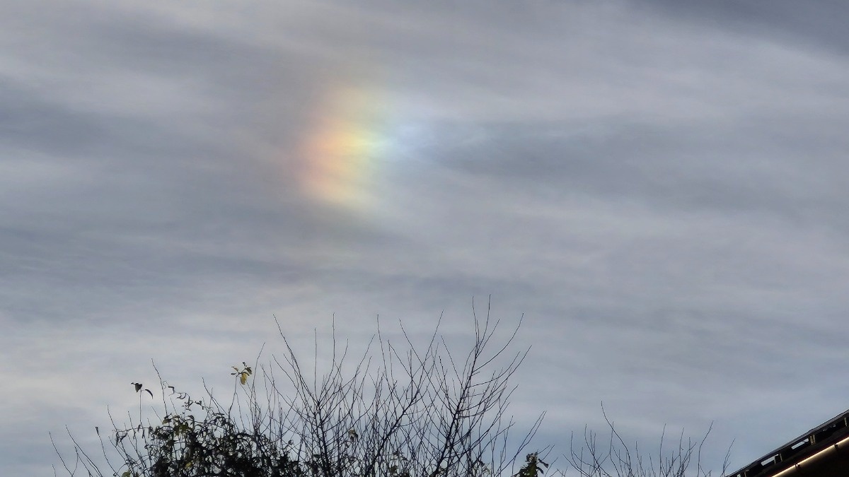 68d2c6c2-e291-4872-8796-4bc2983f1306