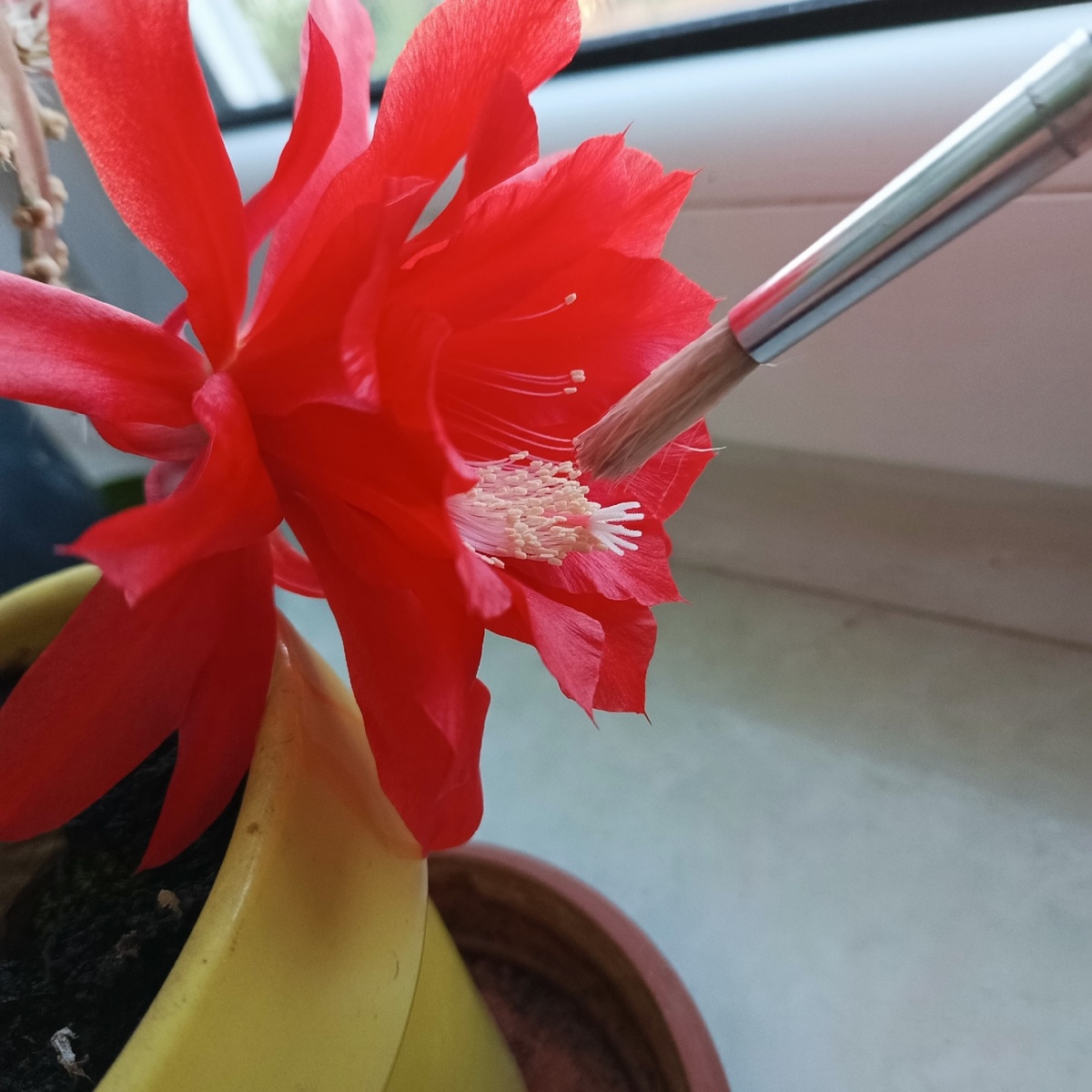 08c3b145-82c5-40b5-942f-acf0b443737a