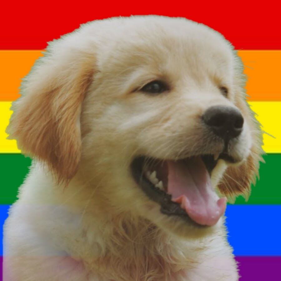 205de833-3b5b-4a2f-82a7-4e093c289844