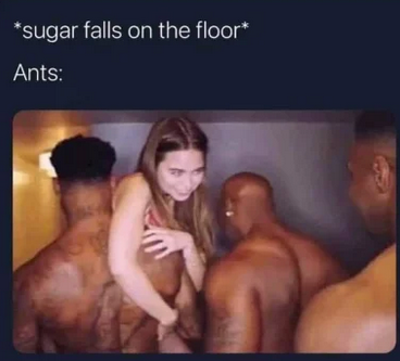 d5b2a51f-fe81-45c5-813a-908feea27060