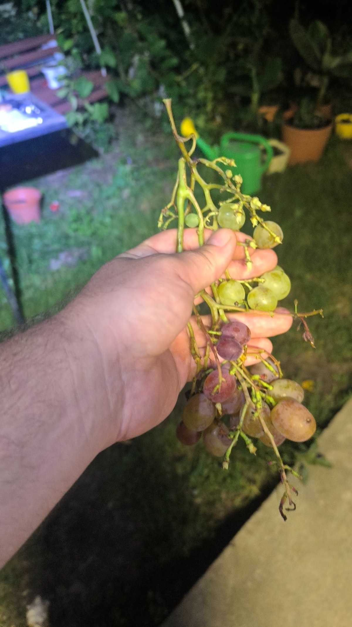 4896bd28-1e44-449a-be39-aa7add52541b