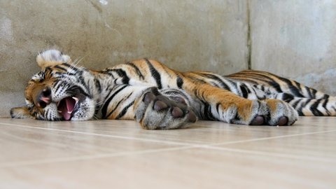 2cdffdd7-44f5-41d0-a3da-4aea81102597