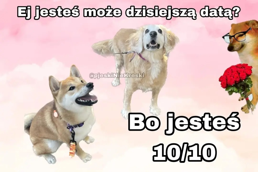 2246b9d5-2ea7-4964-bbe7-362c21a21608