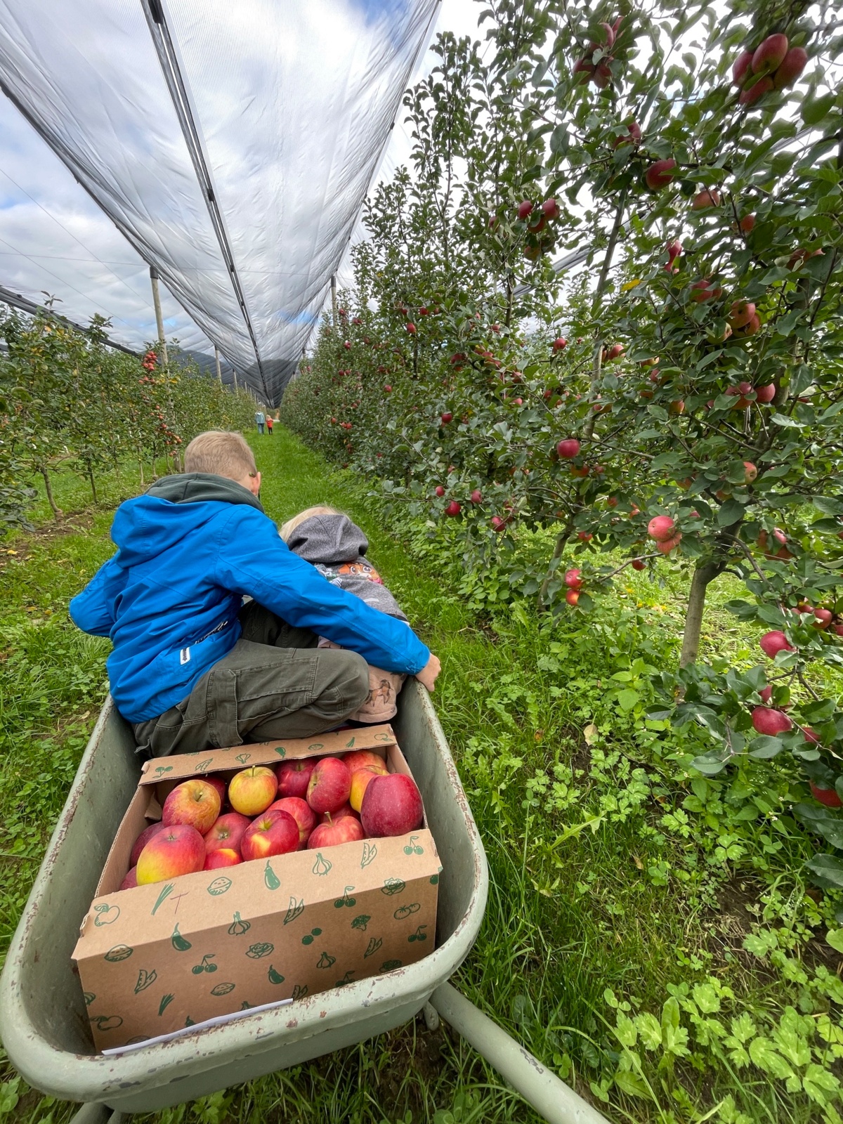 3851cbe4-b03a-4985-95fd-5791268c6aa5