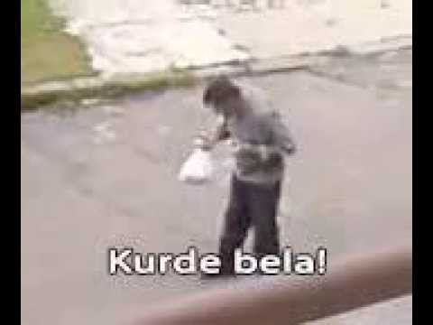 127b2e73-feb8-4fc2-bf8c-af549e2636c5