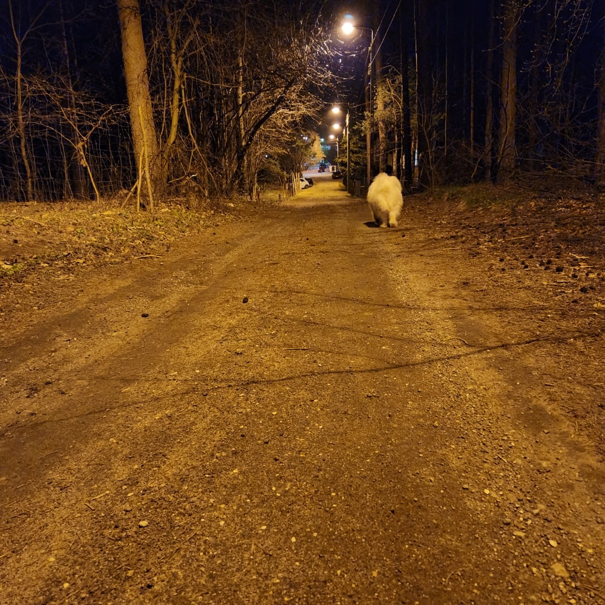 4fde85e3-d3b0-4ad1-972d-cee184e7cf3c