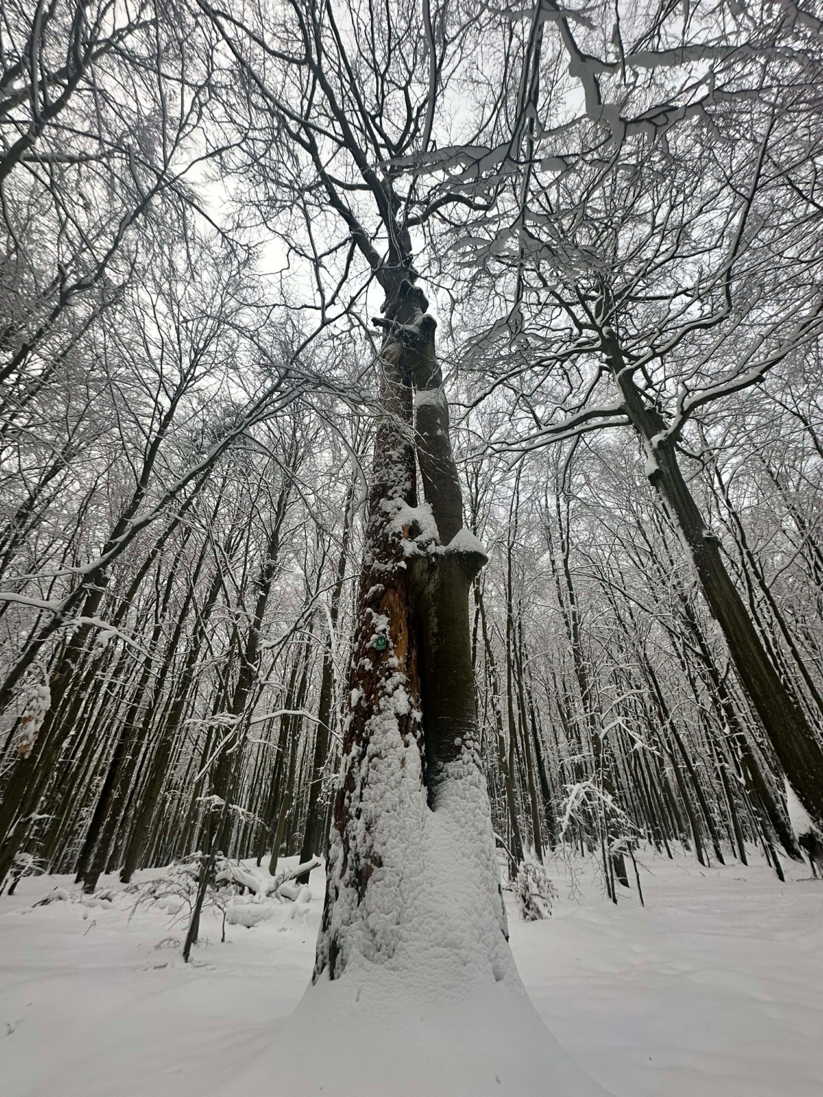 5188a8e4-acf0-4c1a-b284-23f7f0a8b01c