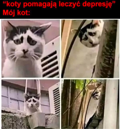 da595c61-8632-4e0b-8a13-18a7388351ef