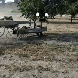 9298150f-e7a0-4e34-9ff2-6f385264741d