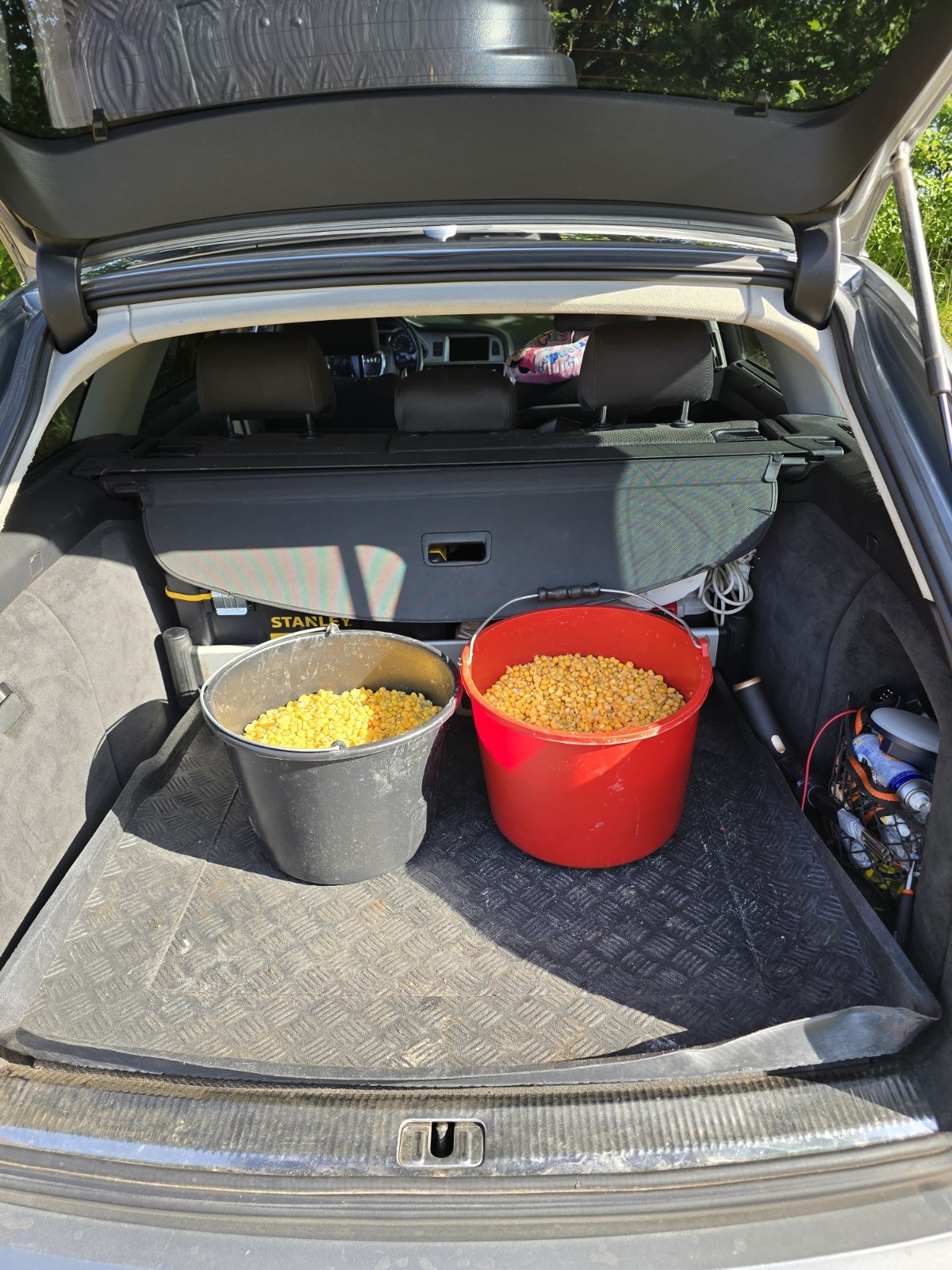 d1de17bc-f9f5-4dc1-b4f2-9d2acf89aab9