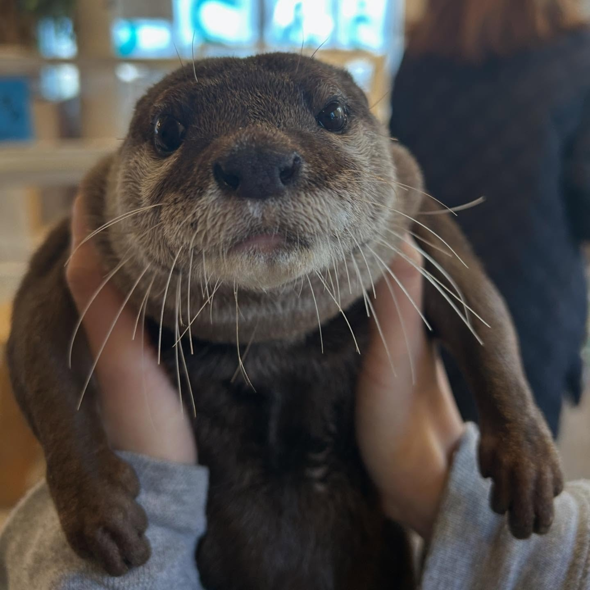 1953cb03-bcbf-44c1-be83-1ab6c8207852