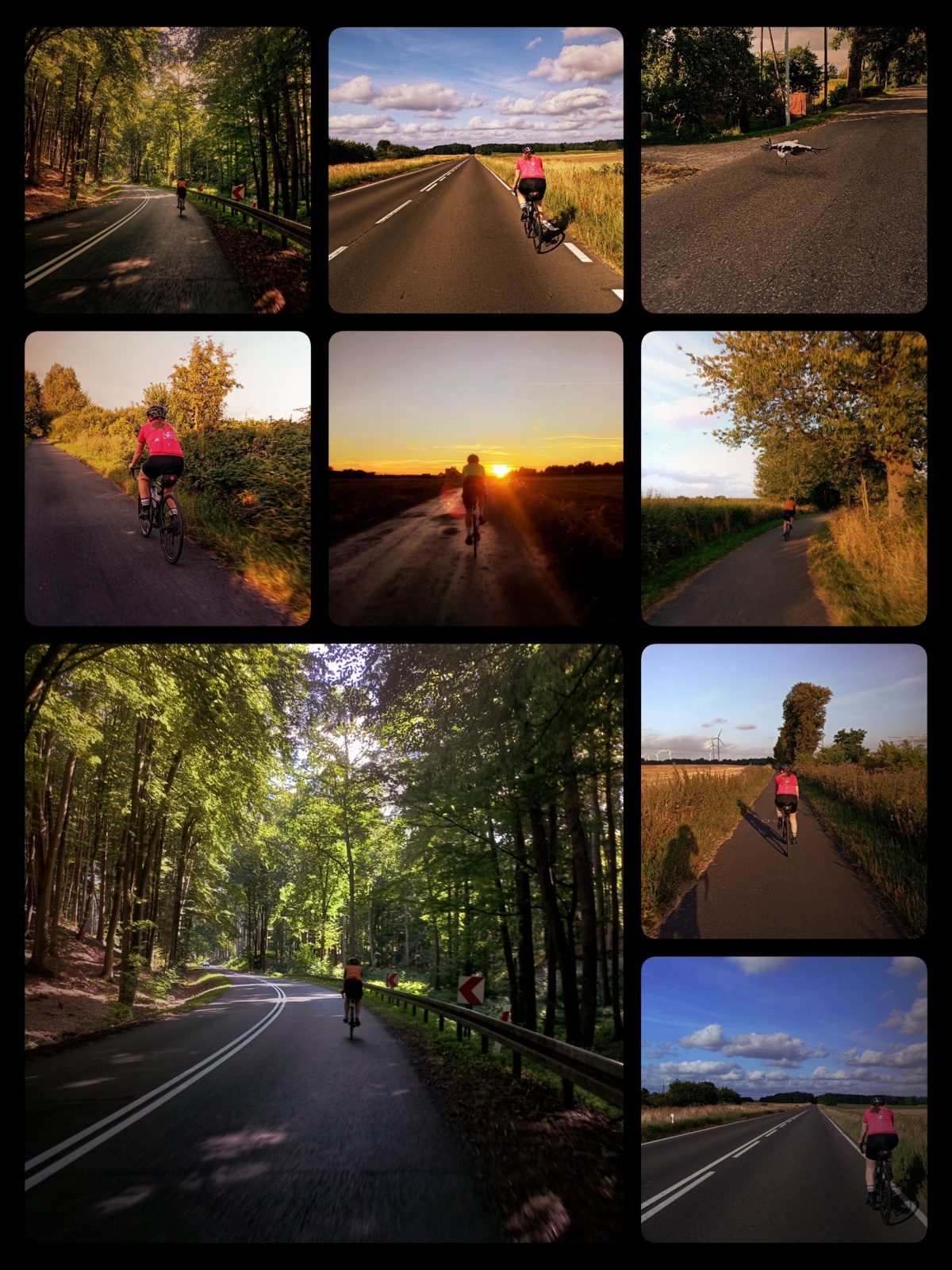 52c4059a-3ff8-419e-9e9a-a3df0fe82029