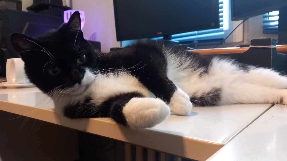 a8dd49c9-0dcd-4f6a-8e84-df7bc1c11c9d