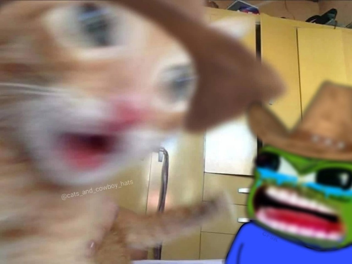 fe7b886b-6673-42ee-911a-bf39d86466a6