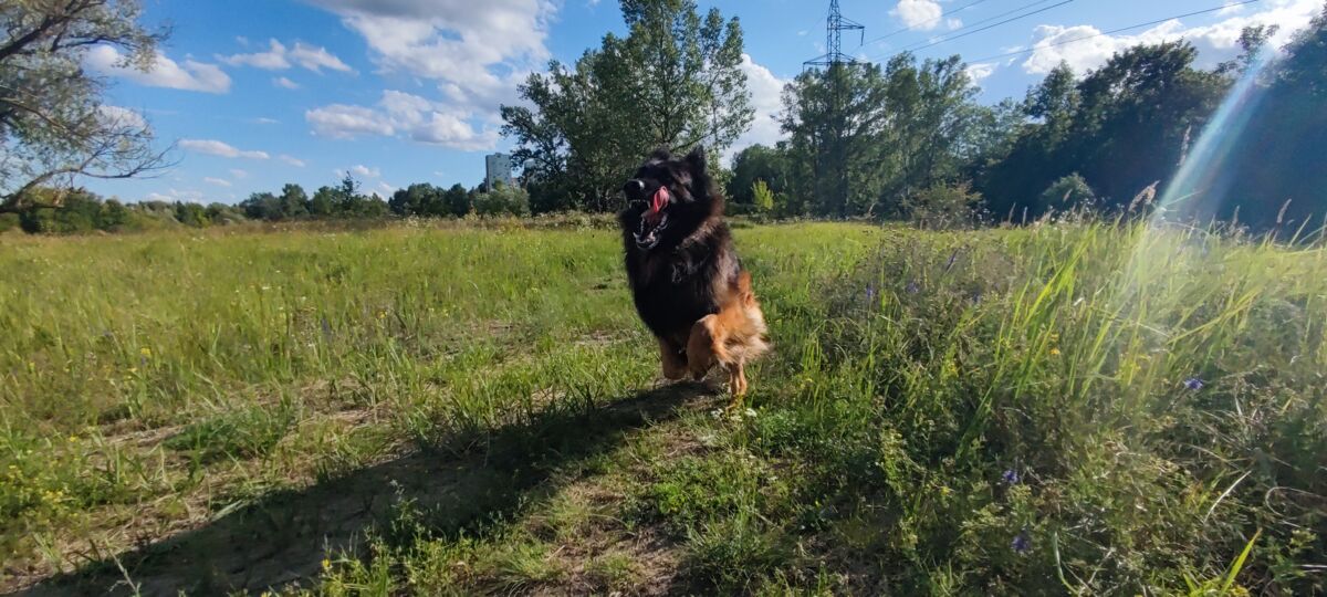 8cda3922-c183-4a33-aaf3-a767a23721e9