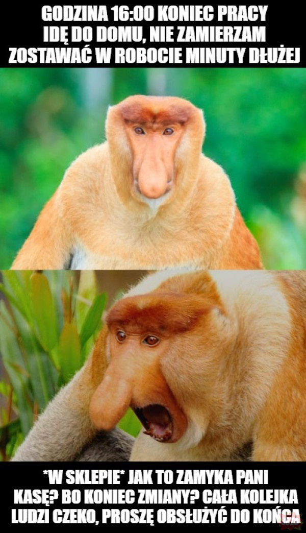 3959c5c1-8fa9-4ec6-8496-7c395a146652