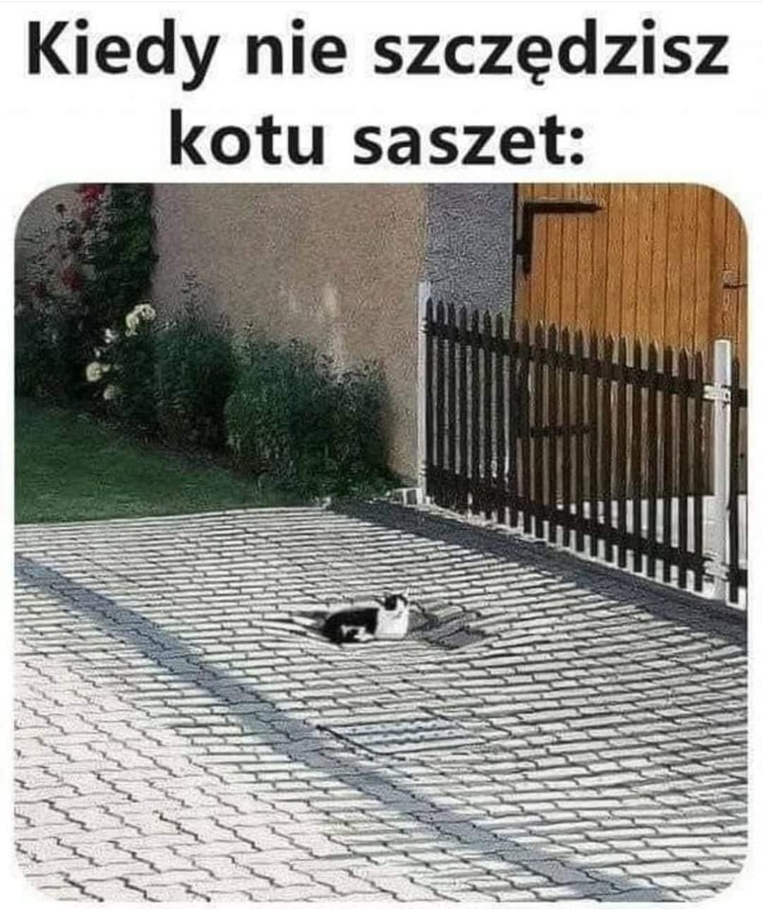 42b34a70-73b8-41ed-a8d4-813a61e58595