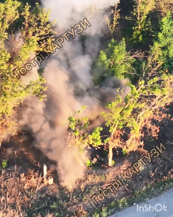 8a0d87d9-ad1c-4079-b8eb-b57022719caa