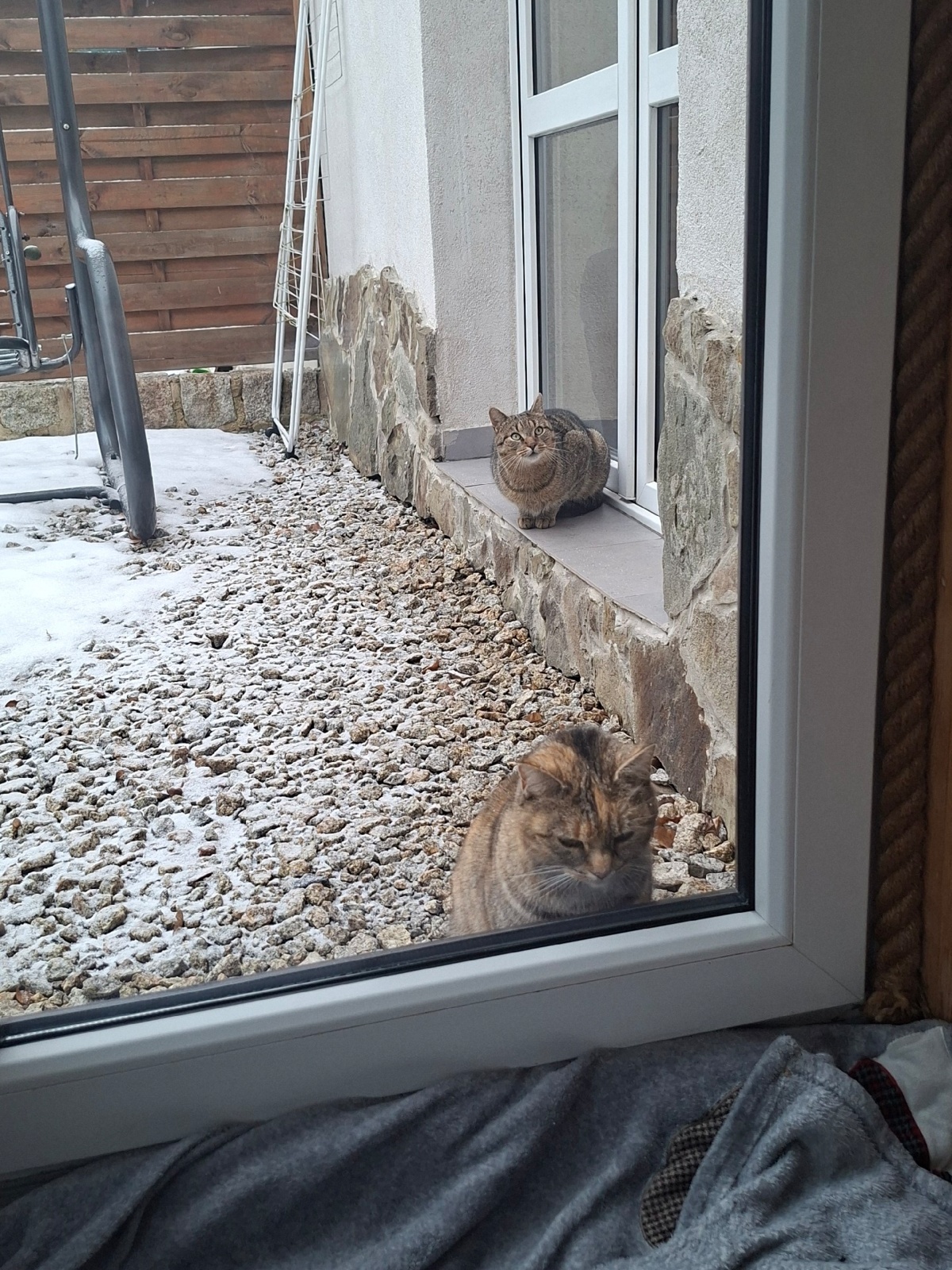 899db655-9873-4a15-ac61-c6644bb34e13