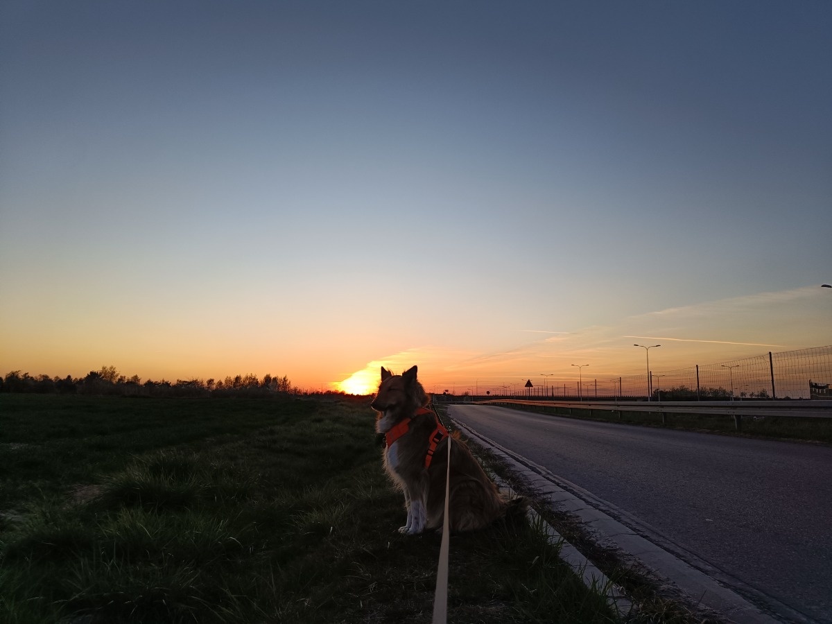 95854949-1972-421f-a0da-0d5cc1c0bee5