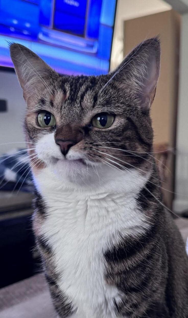 4731193e-662b-49a2-b259-9bbc21d34e7e