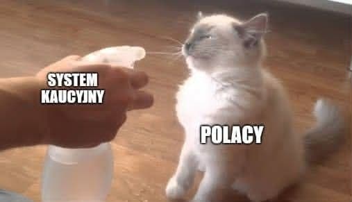 83b027af-ce69-4fd7-8728-f5bccc03b11d