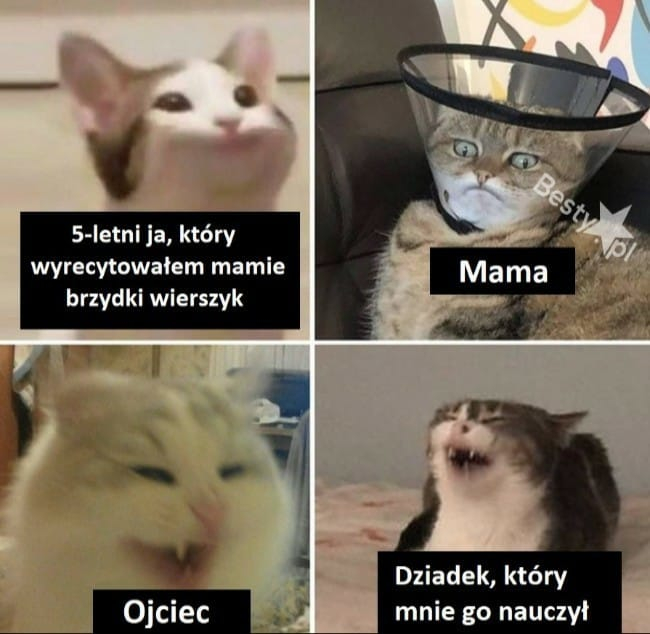 50350d25-0fdc-4aee-bedc-b4b469396ed4