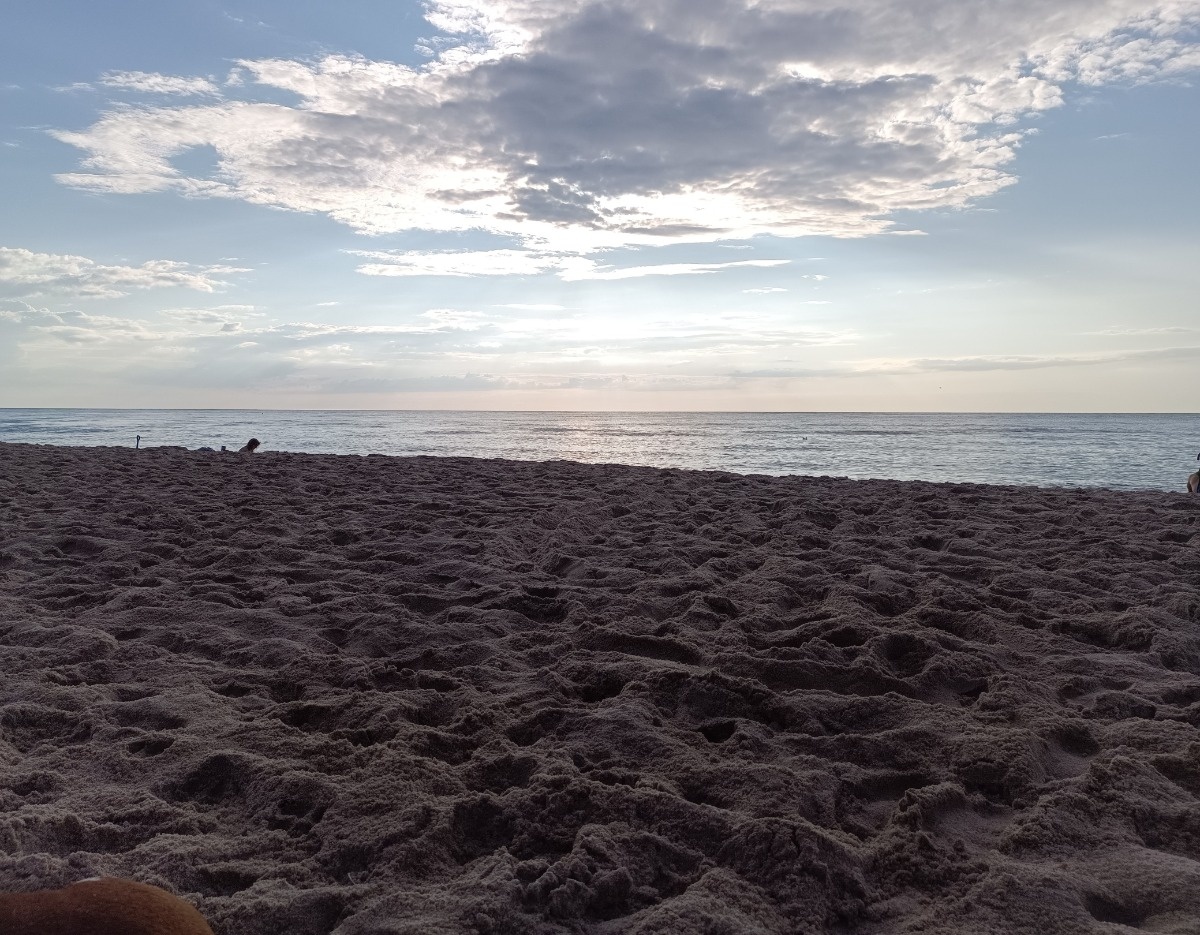 96b8467e-09b0-4fde-8cac-7d41495b33da