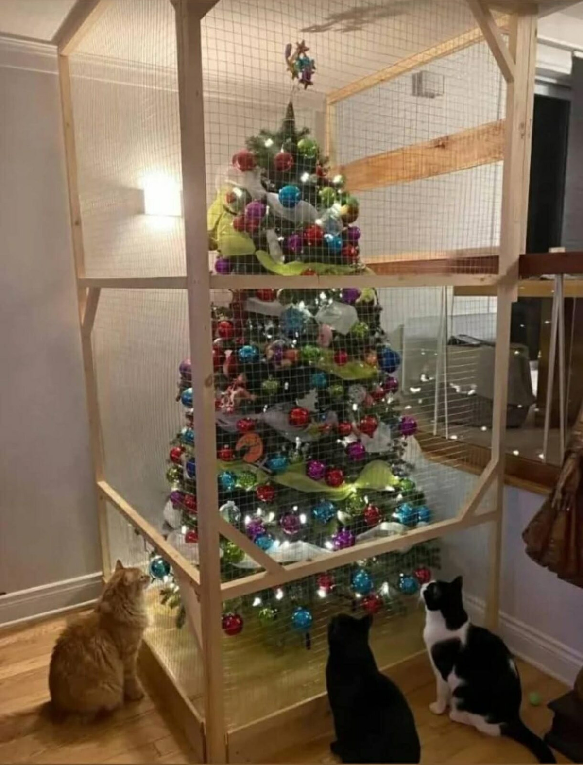 09711495-7ee7-434a-8370-a1e6026beffe