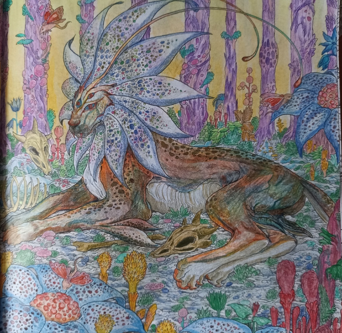 1de923b2-6985-4d21-9c88-3de9bd48302c