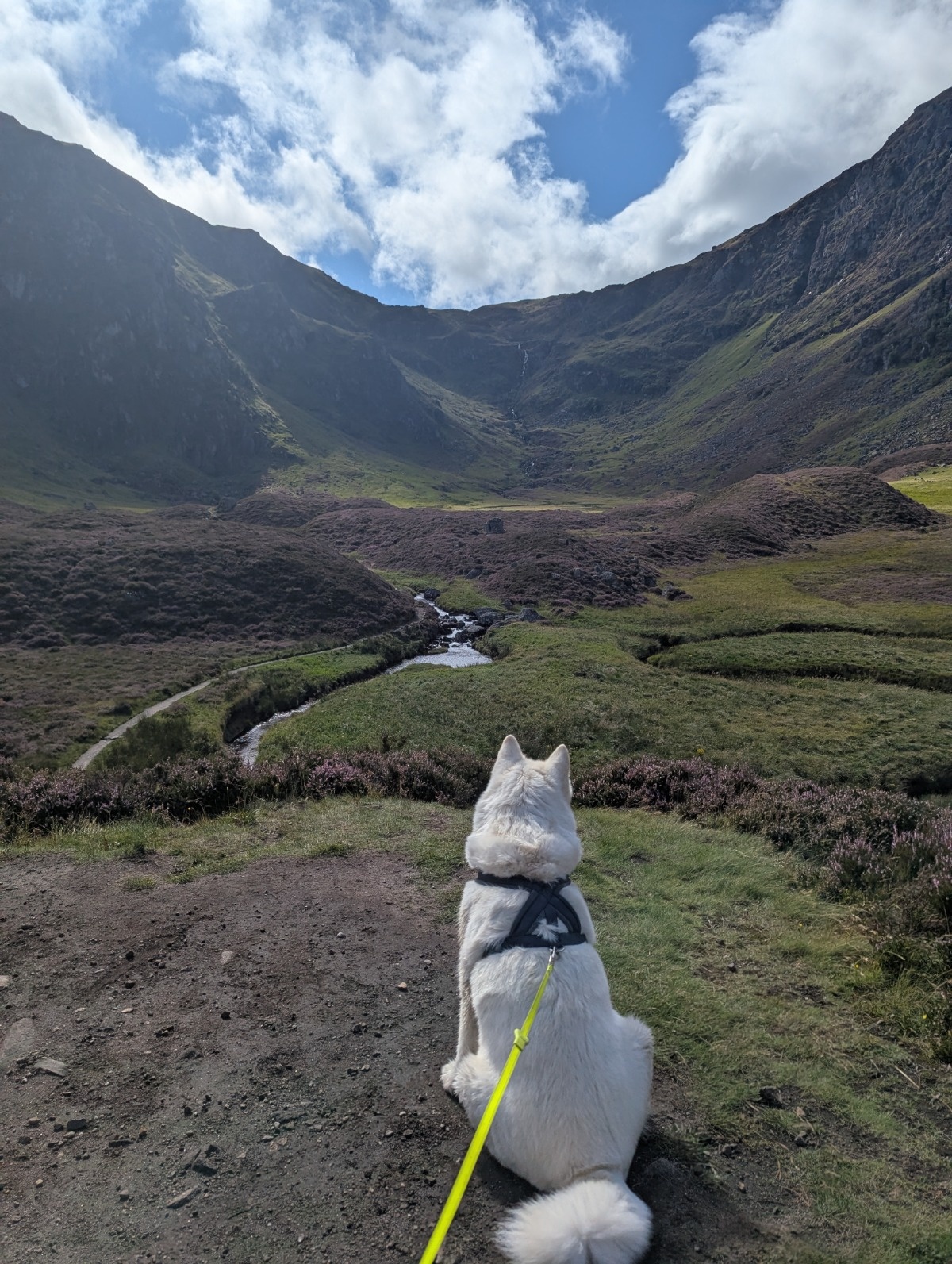 5fd23ae8-47ec-4d8a-a67a-40a1352876ef