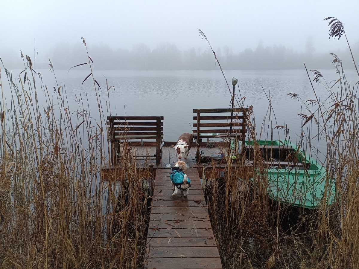 40b94458-0d07-4aa8-a2fc-deea13340f97