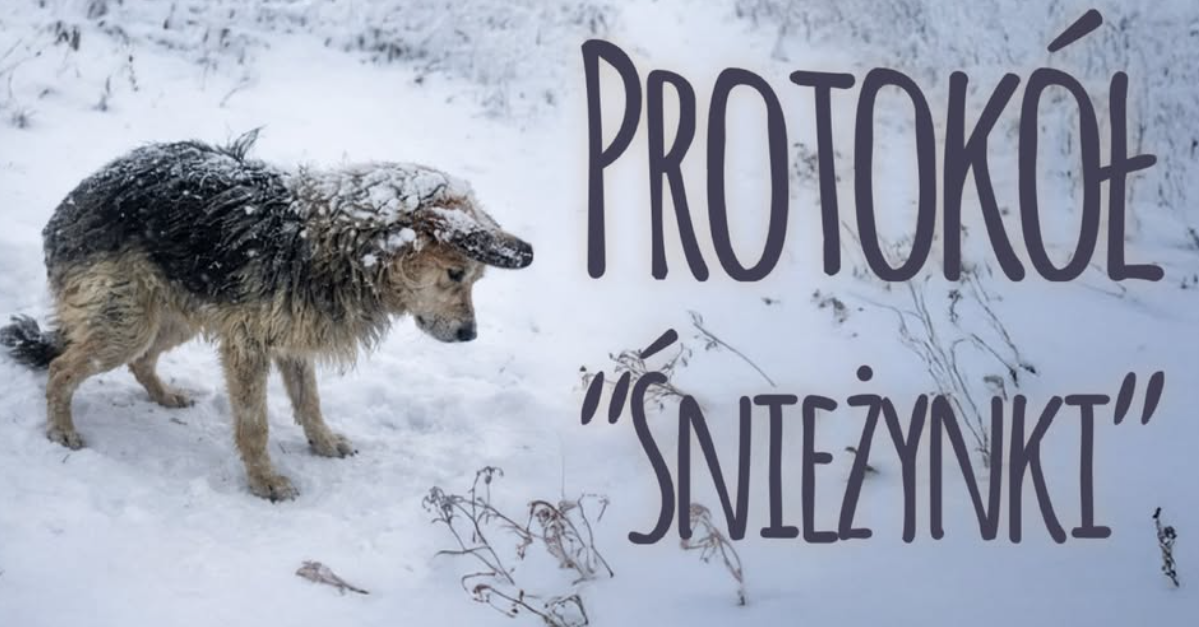 b80843a3-df12-4a26-9bda-184cc3b4f195