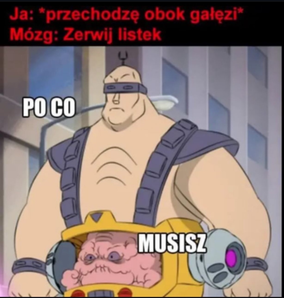 4545b53a-7cc7-42c2-bb58-cda735dc16f6