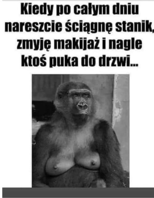 29139bb7-c37c-48e1-b26f-d1df69fc0587