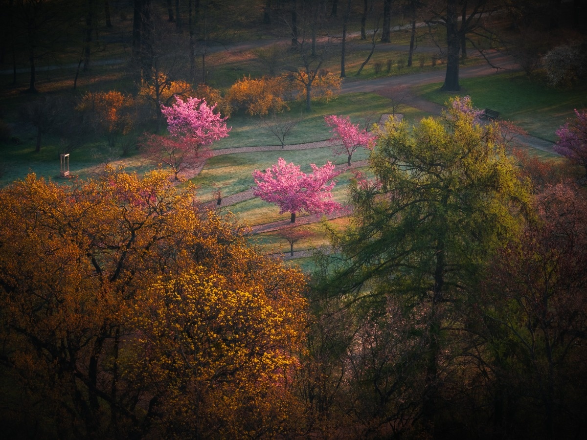 cf4343b2-7732-4cba-90a4-6d85f367f09c