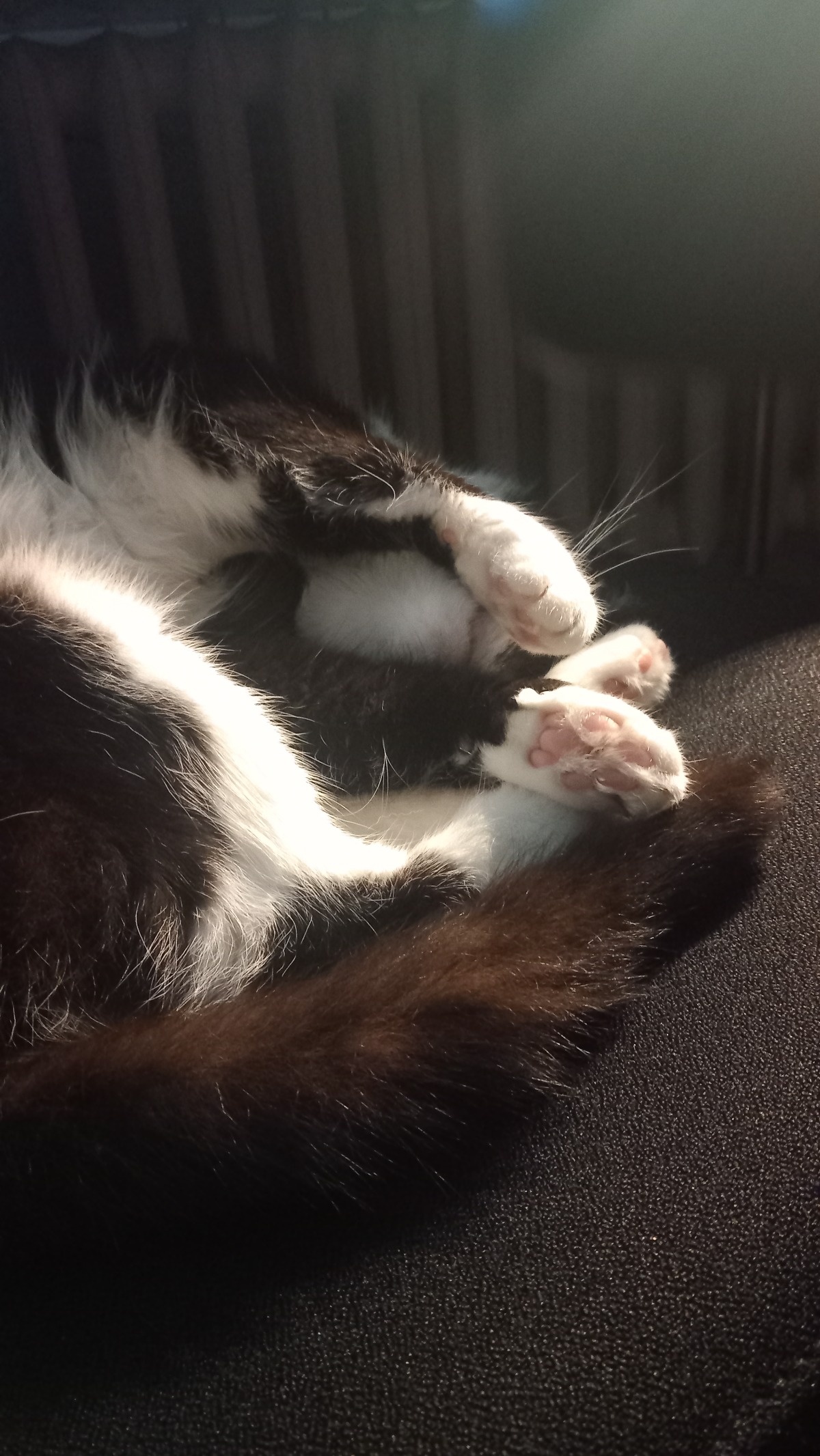 5f3cc37a-04ec-4144-94fe-f36065c9dd3f