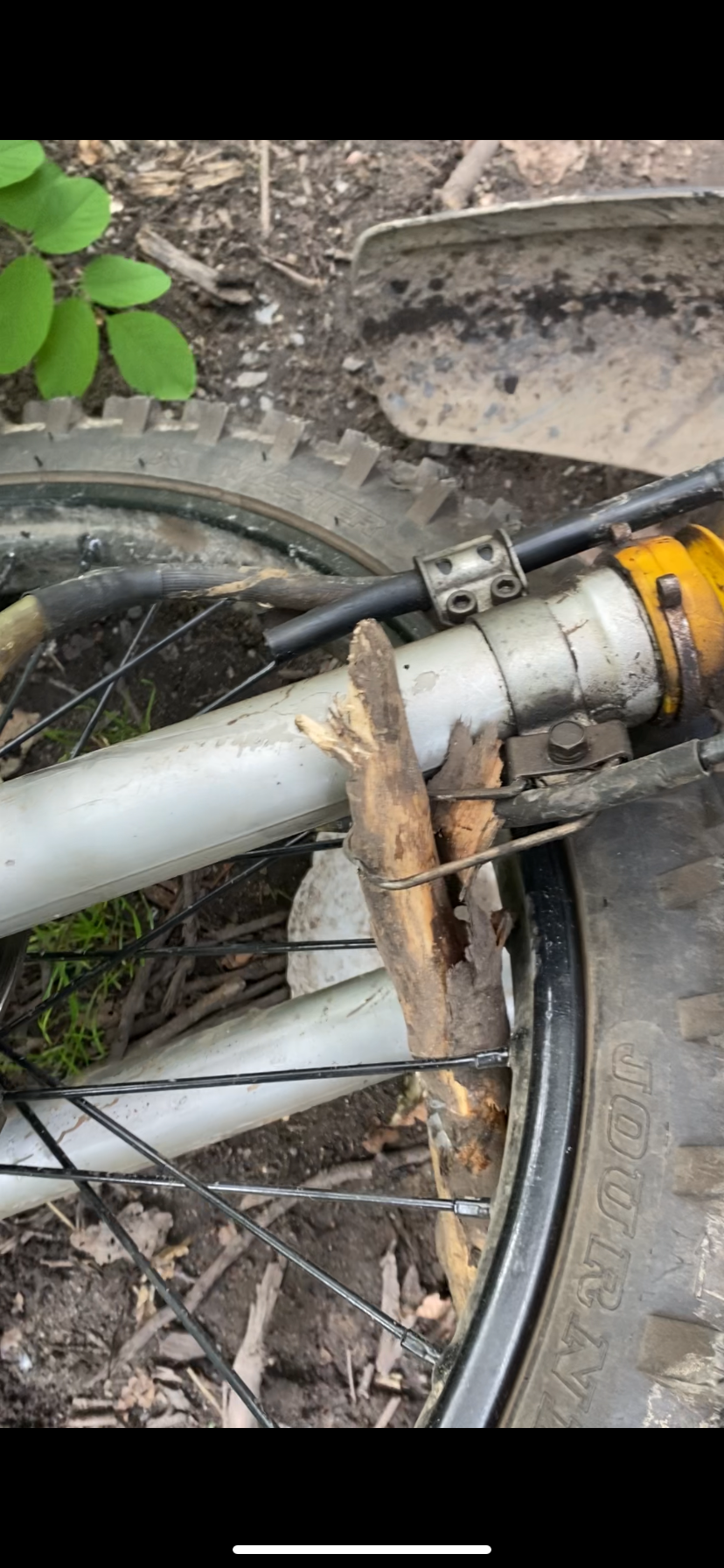 91fbfd61-472f-4367-bada-c49d6c03f04a