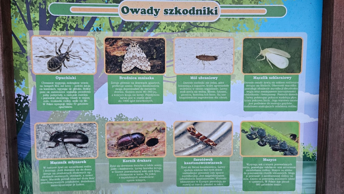 39ebb580-ca48-4045-b348-19212a36195a