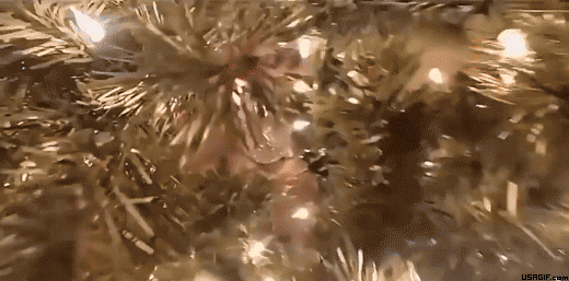 f9c9625f-3fdb-4f67-8d94-1fd9a7b96954