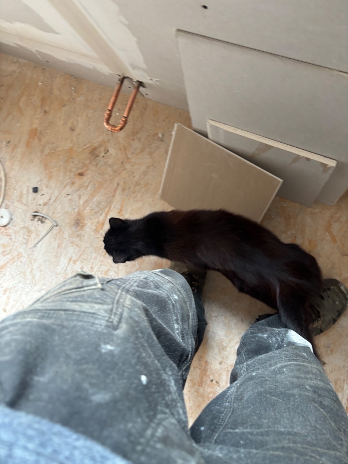 50232273-ce27-46b7-8a1d-25dfc49d366f