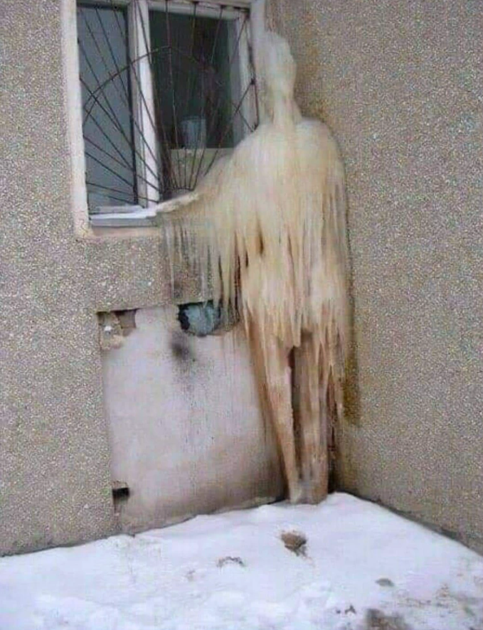 c82fb7ac-b100-4d6a-a16d-959db9f113d9