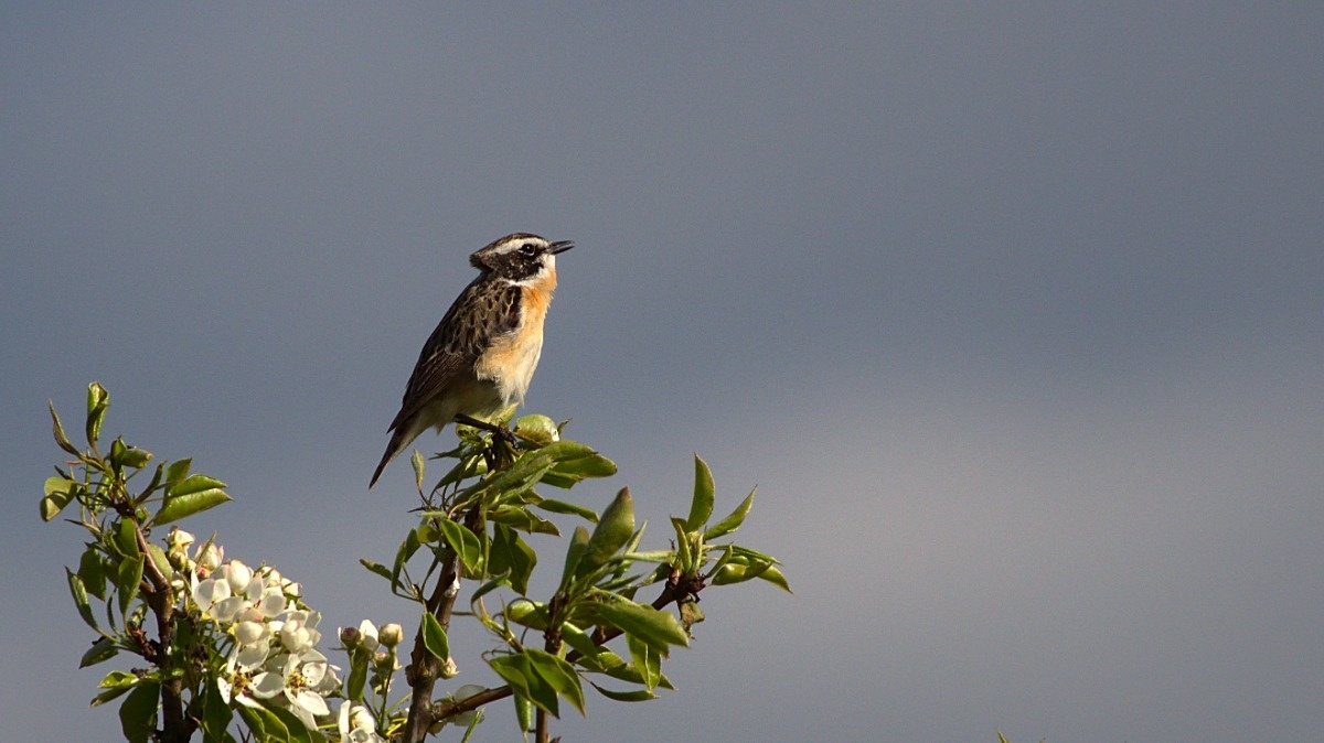 57990d7d-de03-4a28-899a-e5f460702e40