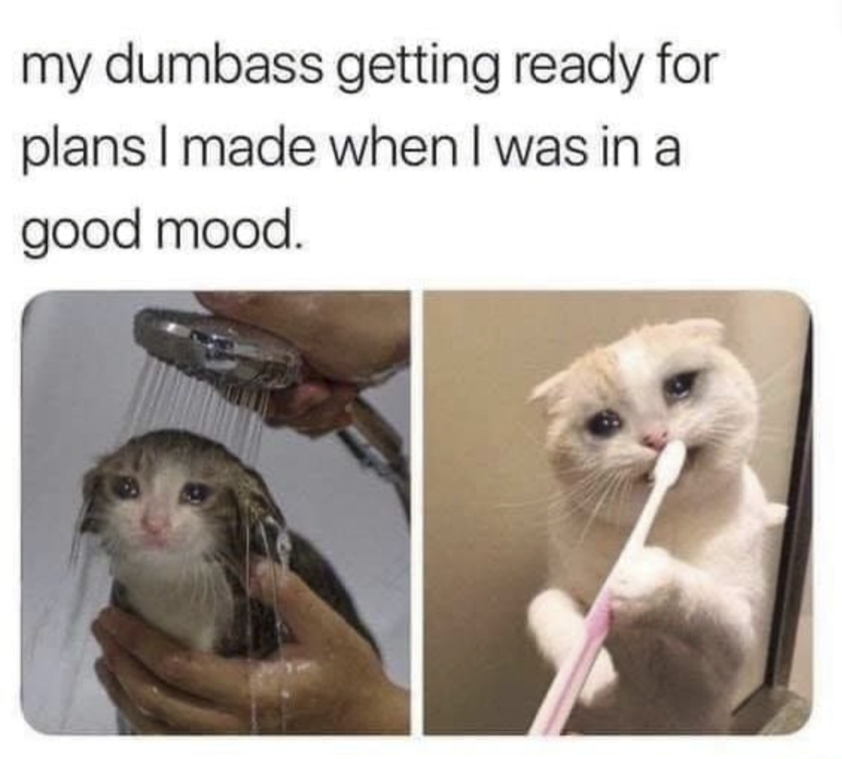 c5e4df2b-50ff-49c8-b985-3fd36e46fda4