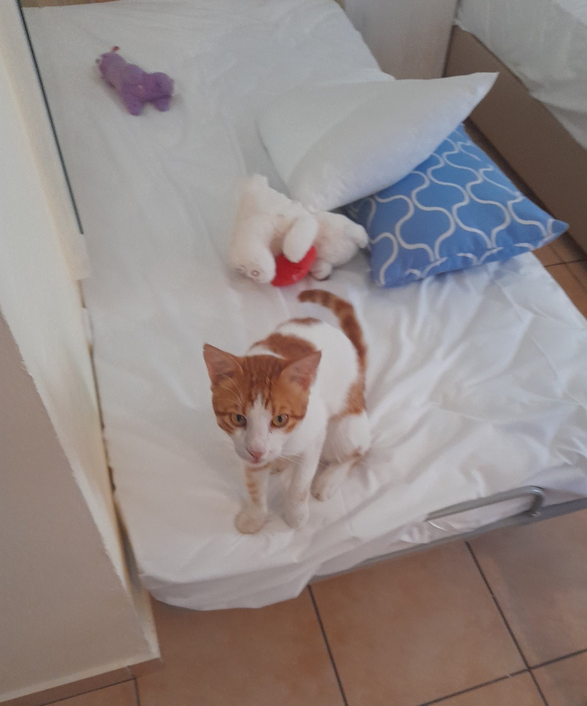 4dbb70c6-1ea0-4665-b813-265467b6520b