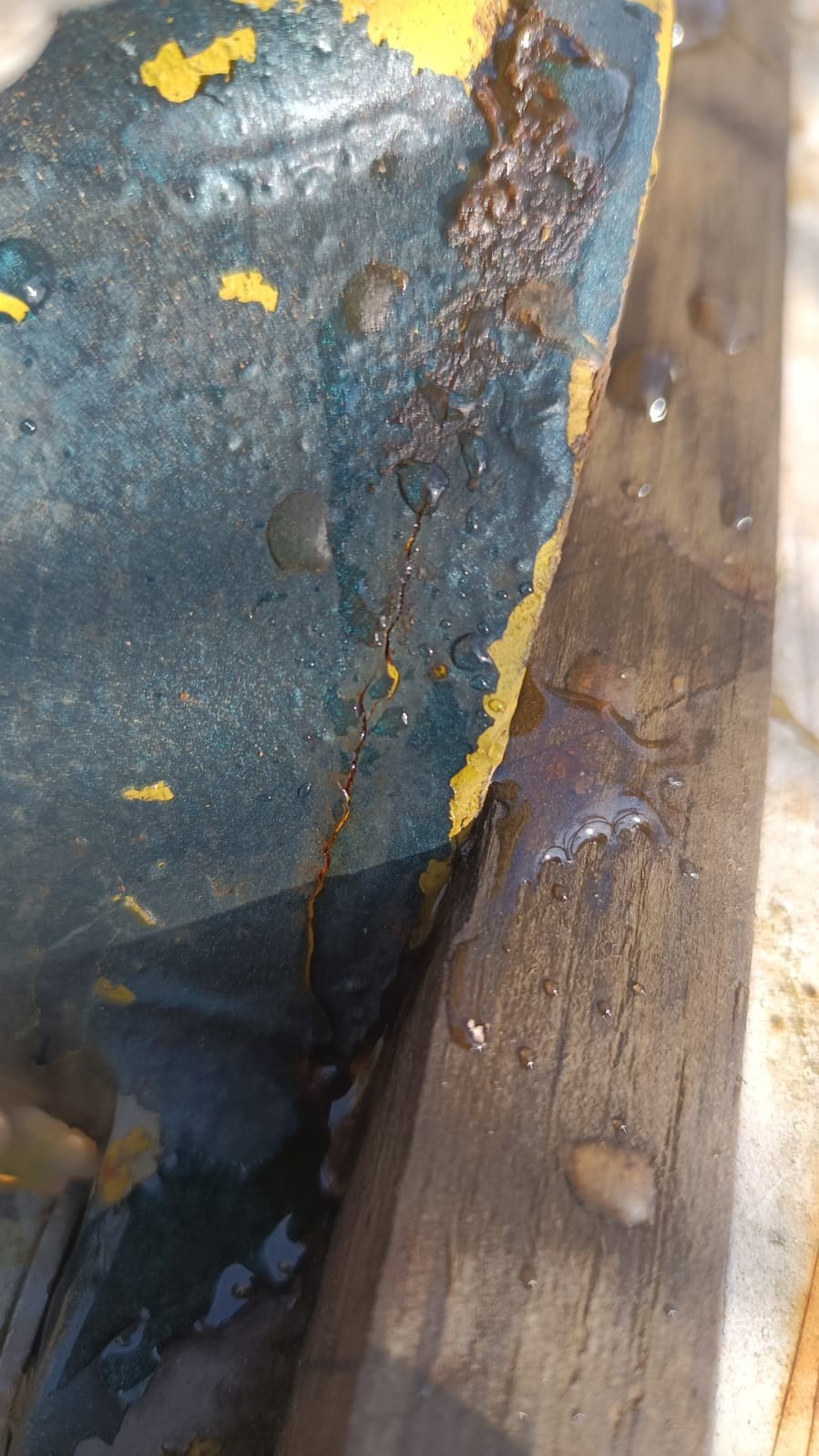 03b292aa-546d-4861-9897-8f8cf3ebe7f8