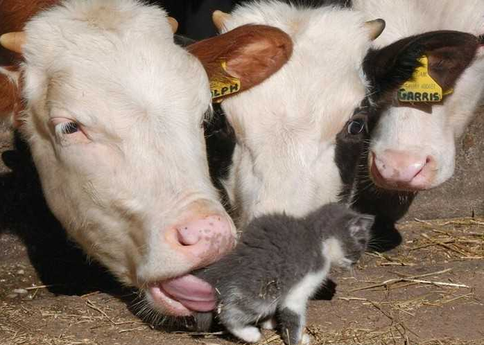 3d527d33-3f8d-4a14-8e78-dec1030e8956