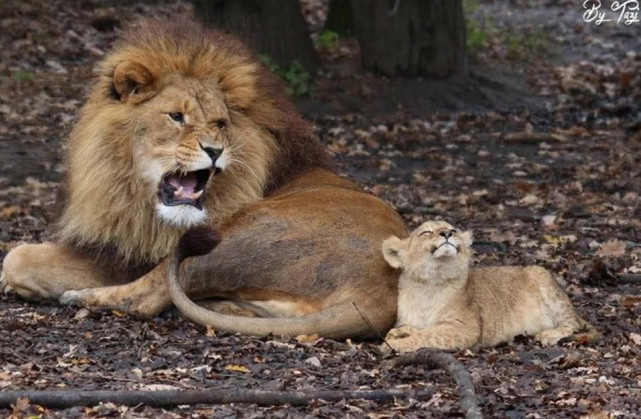 8b486517-4211-4cd5-ba82-74e232bc955a