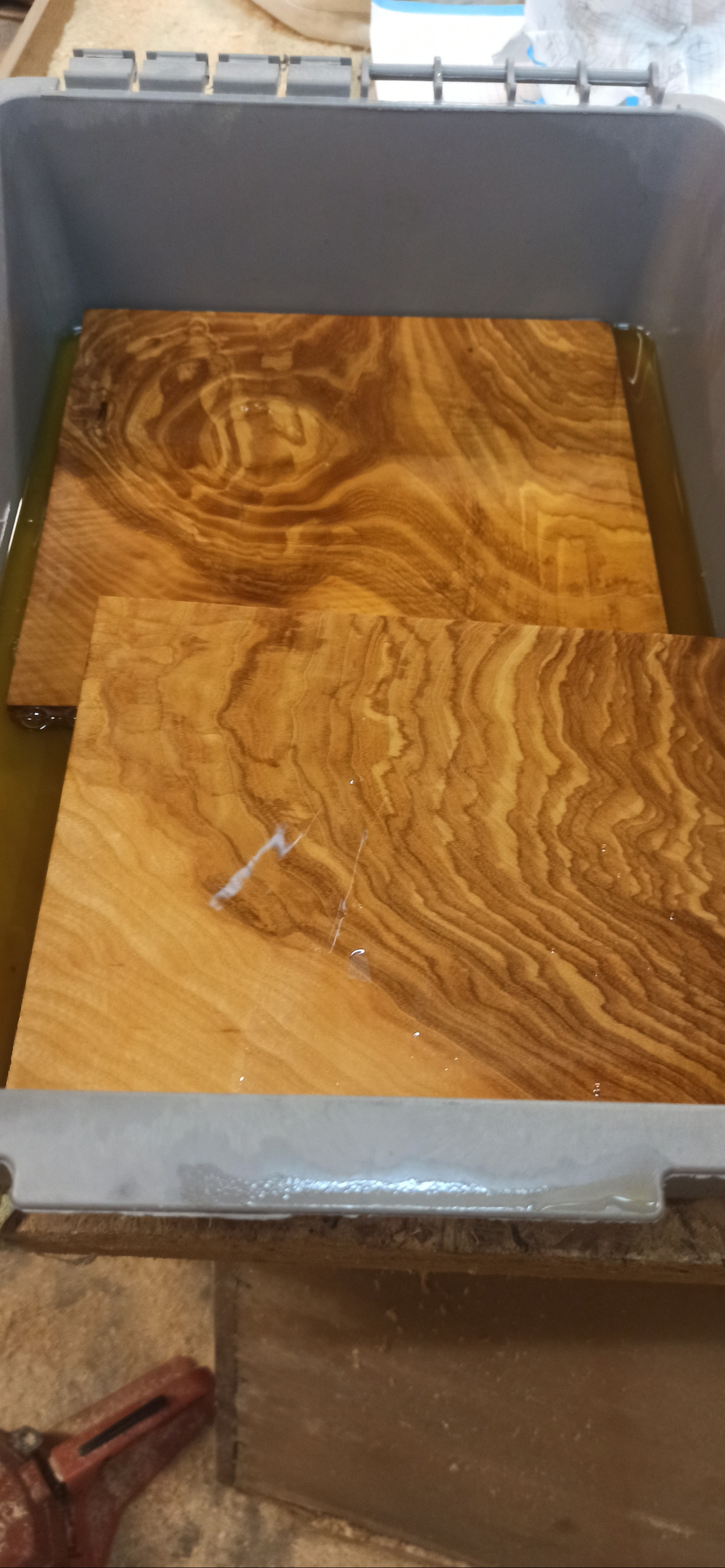 8e3e7636-1872-4a62-8008-6450a4afdeb6